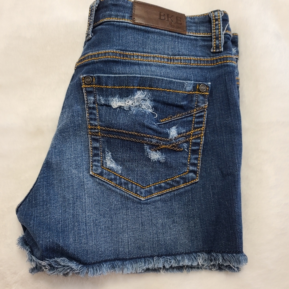 BKE Payton Shorts